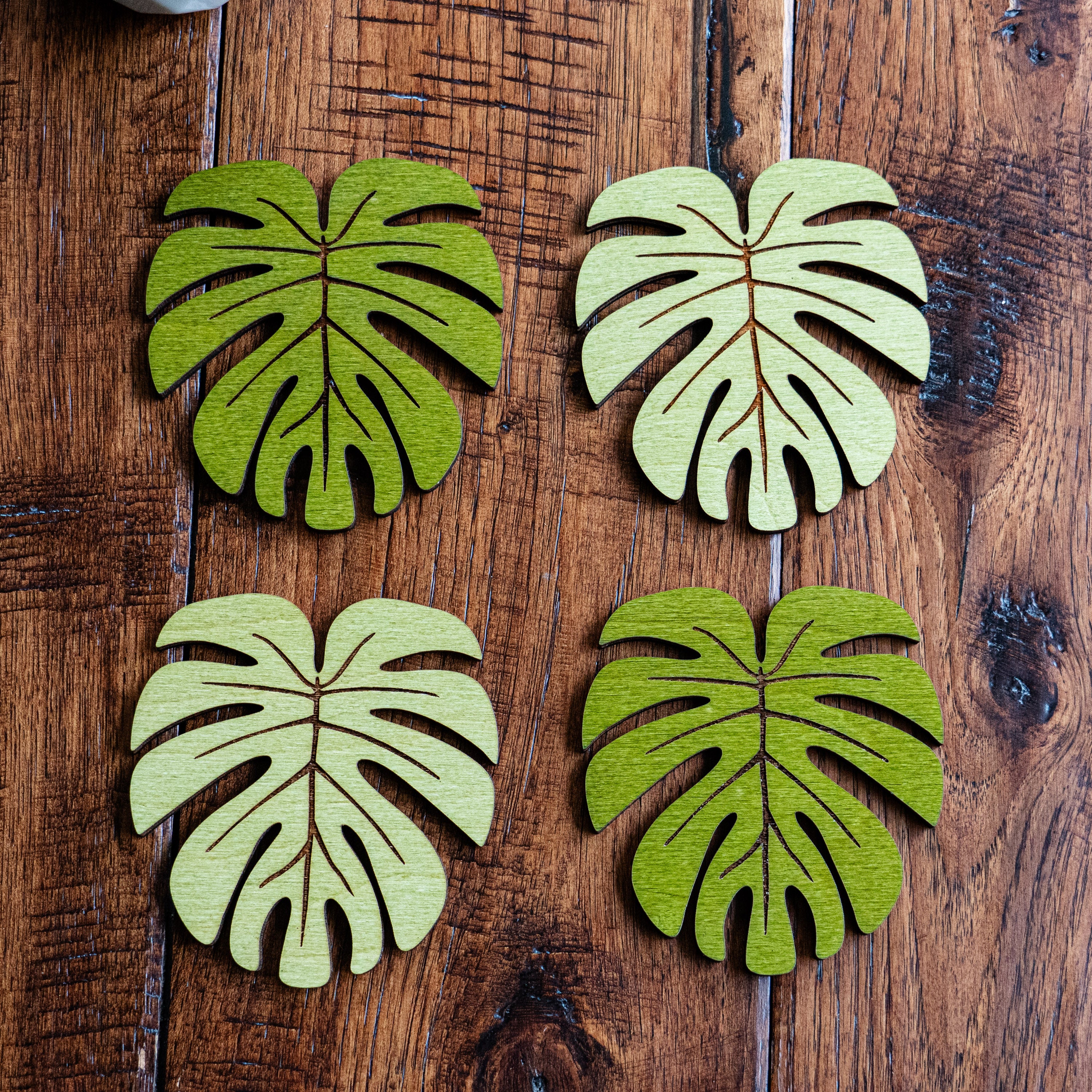Monstera Leaf Coasters